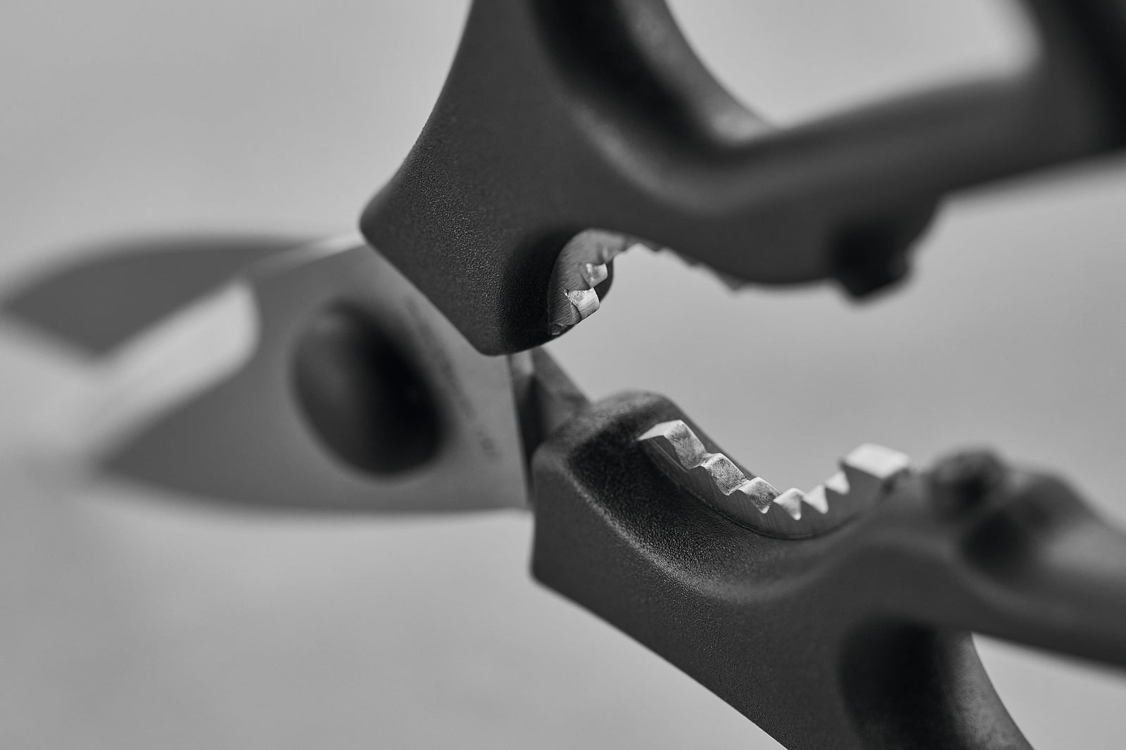 Wüsthof Kitchen Shears – Black, Take-Apart Wusthof by Kitchen Niche