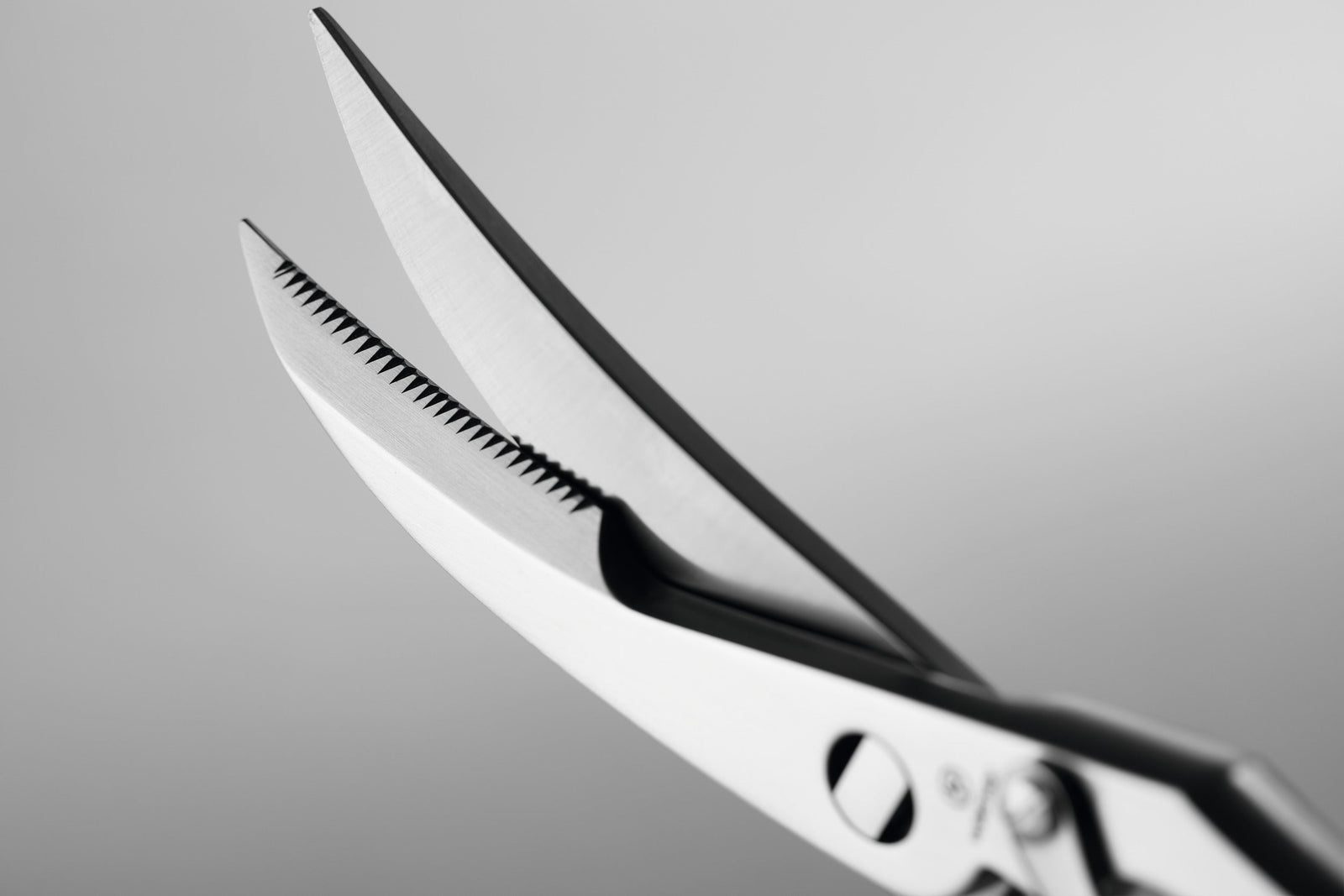 Wüsthof Poultry Shears – Take-Apart Stainless Wusthof by Kitchen Niche