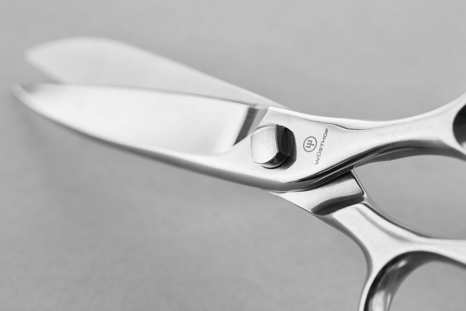 Wüsthof Kitchen / Fish Shears – Stainless Wusthof by Kitchen Niche
