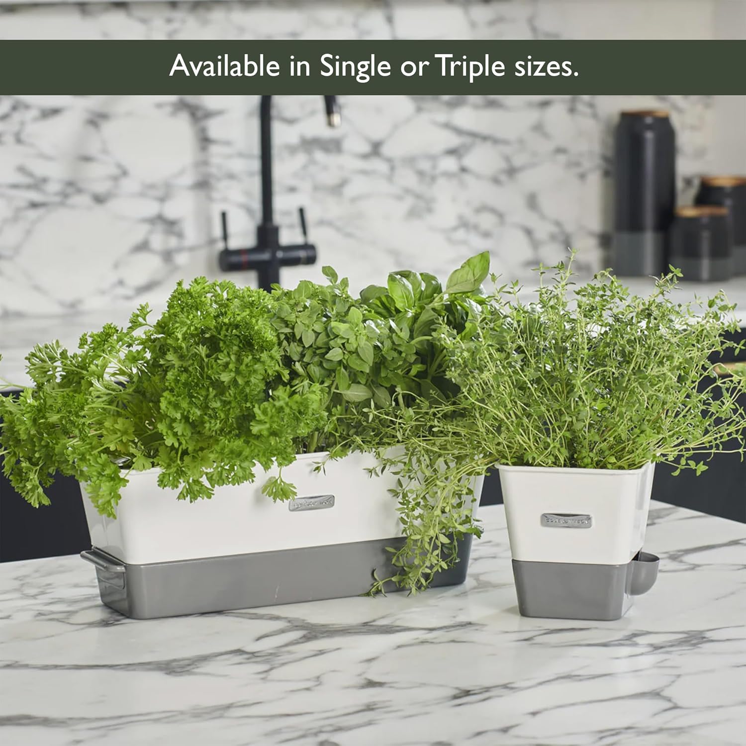 Cole & Mason Burwell Self-Watering Potted Herb Keeper – Triple