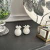 Fox Run Pineapple Salt and Pepper Shakers