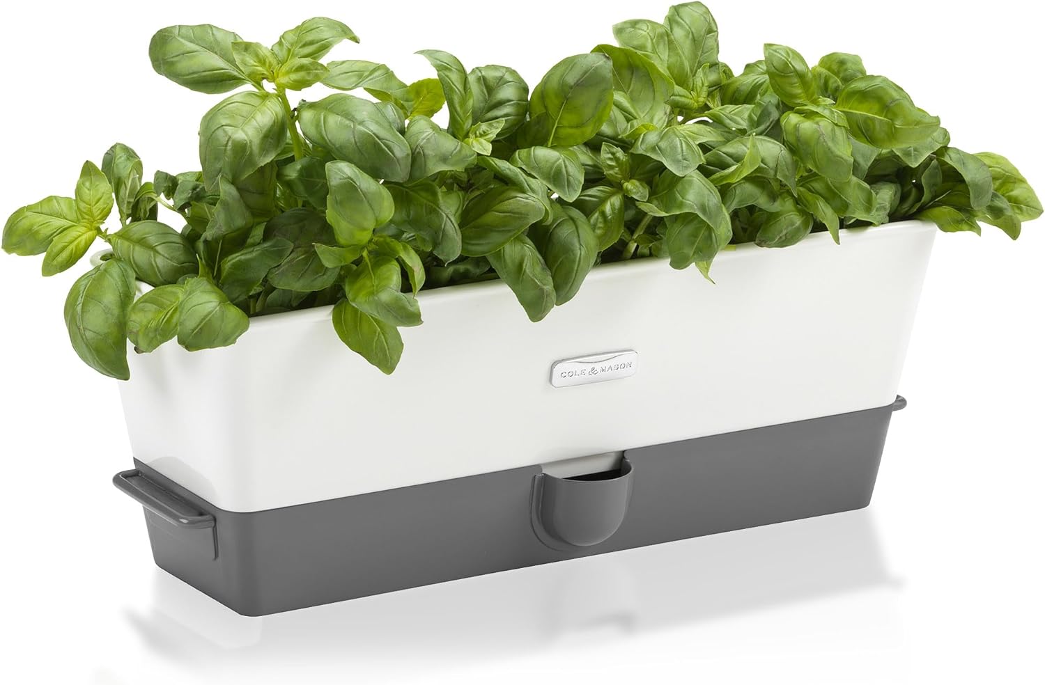 Cole & Mason Burwell Self-Watering Potted Herb Keeper – Triple