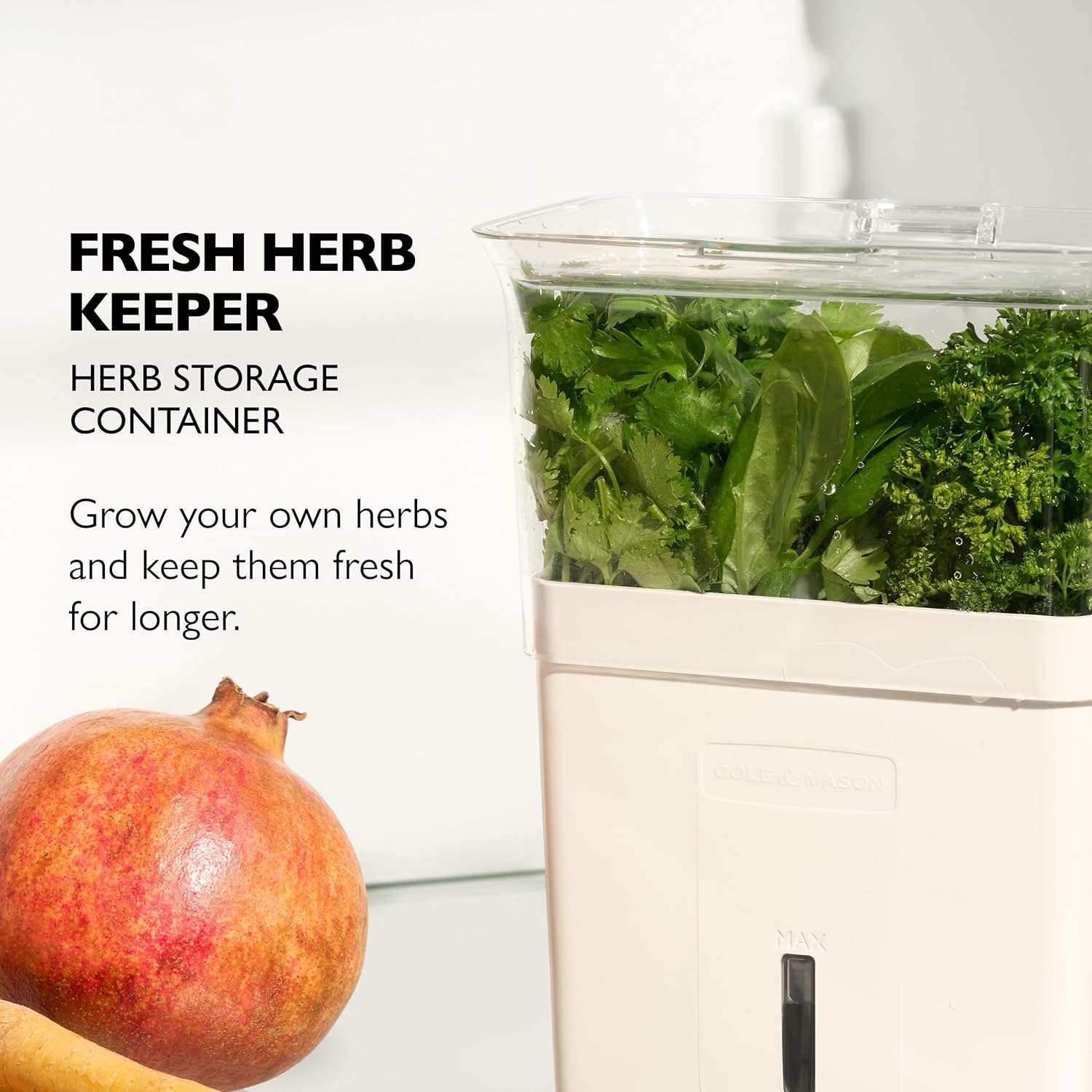 Cole & Mason Tealby Cut Fresh Herb Keeper
