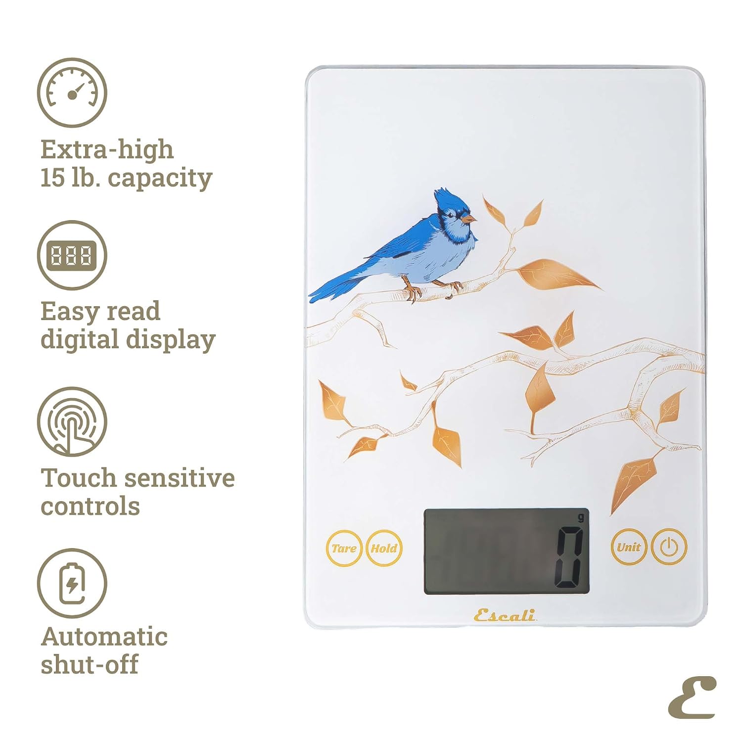 Escali Arti Blue Jay Glass Digital Scale – White