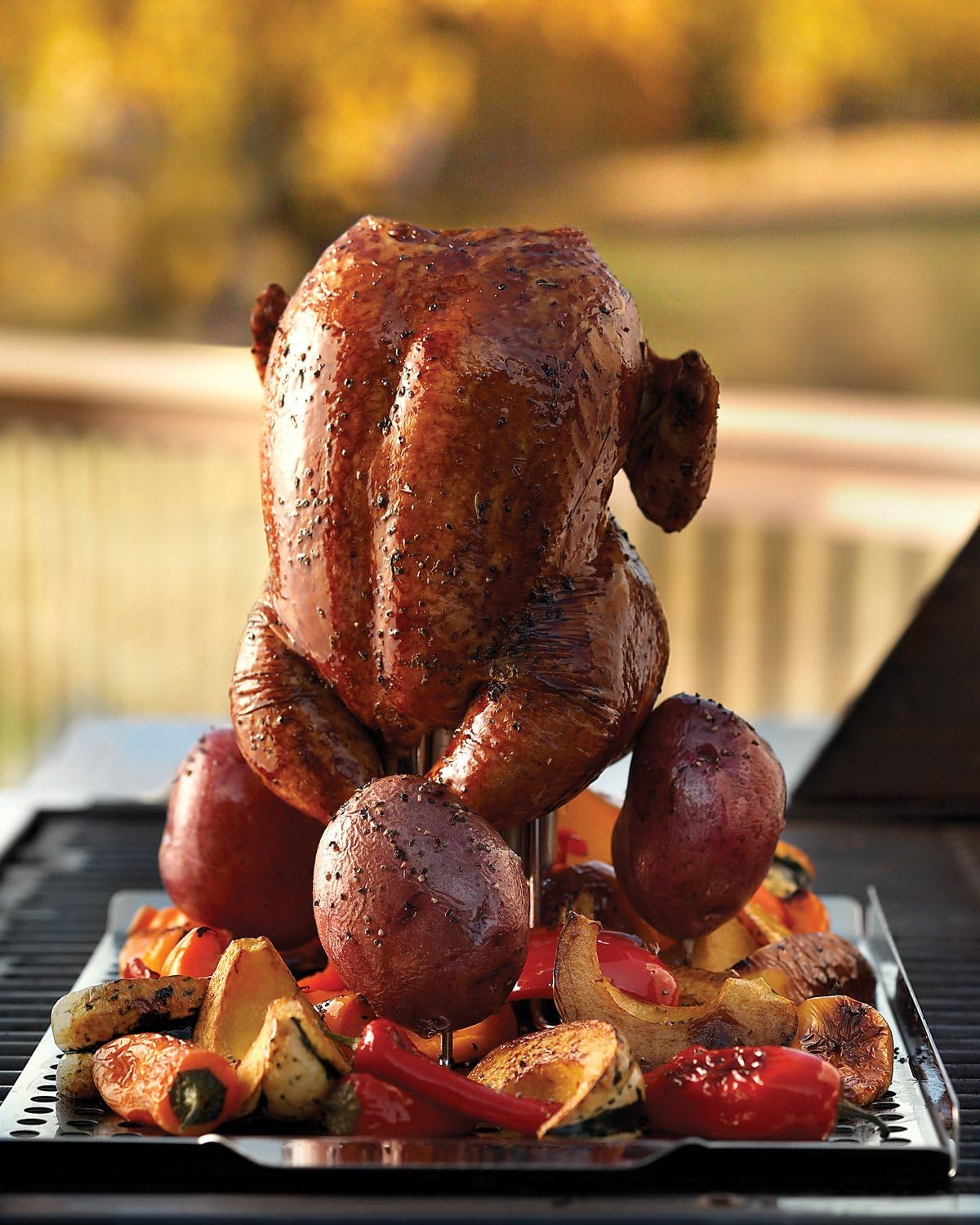 Outset Flavor Roaster For Chicken & Potatoes