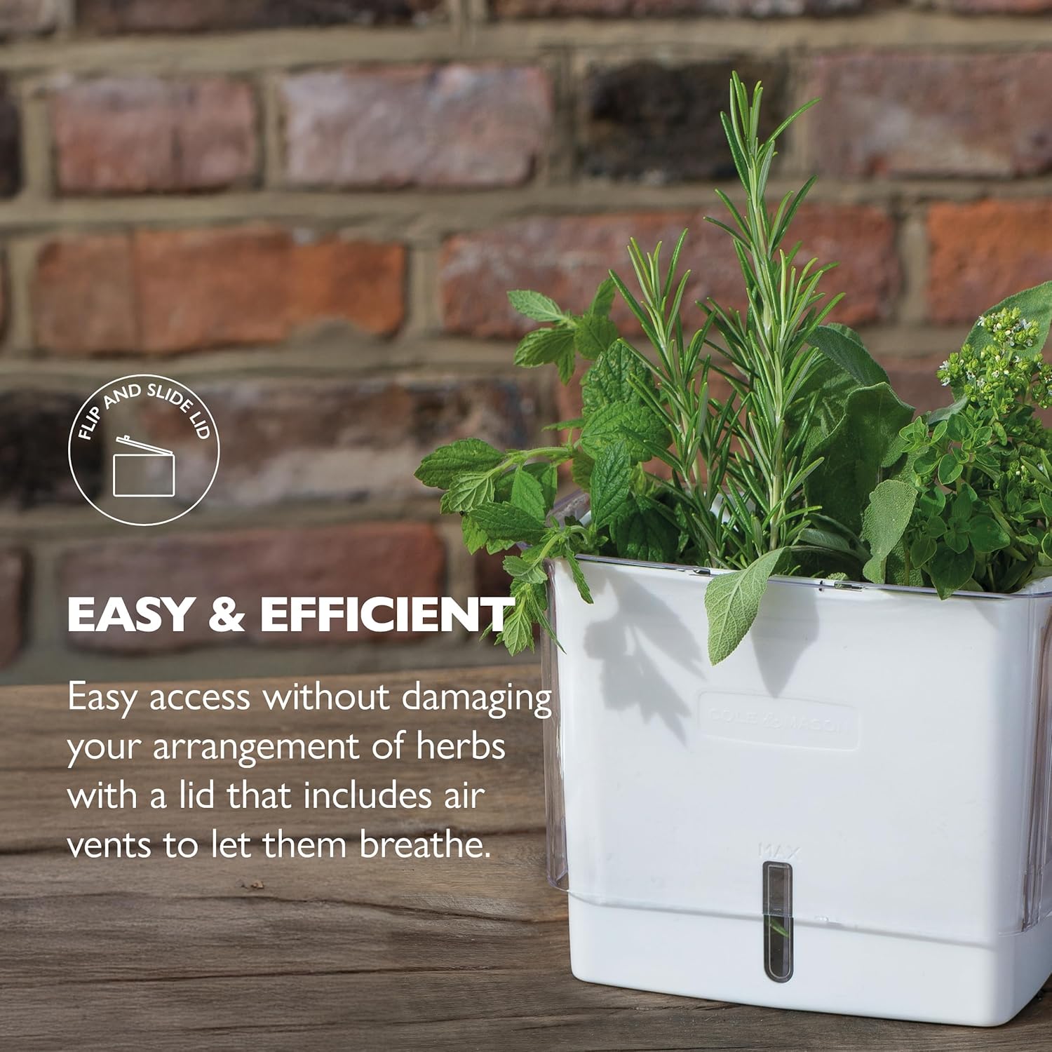 Cole & Mason Tealby Cut Fresh Herb Keeper