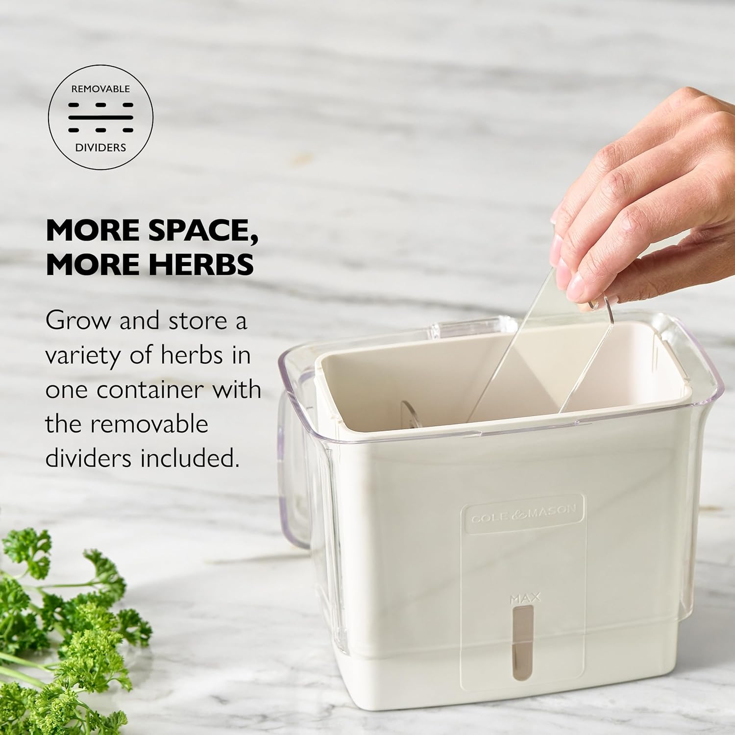 Cole & Mason Tealby Cut Fresh Herb Keeper