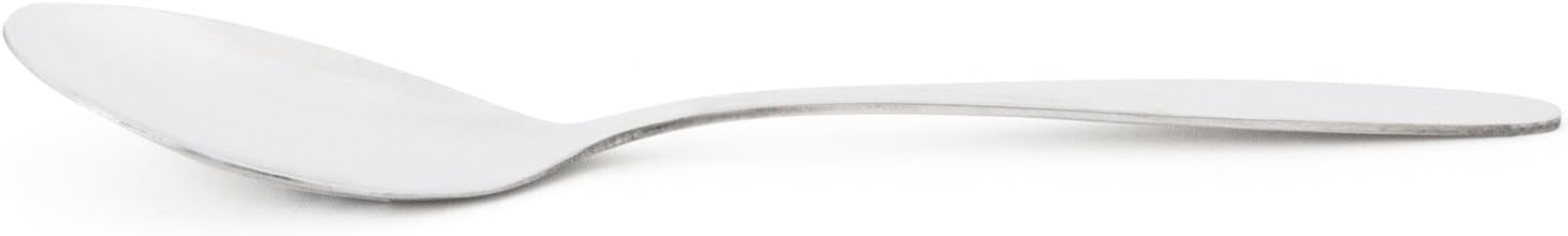 Fox Run Large Stainless Steel Serving Spoon
