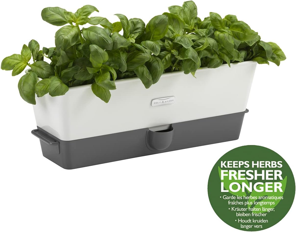 Cole & Mason Burwell Self-Watering Potted Herb Keeper – Triple
