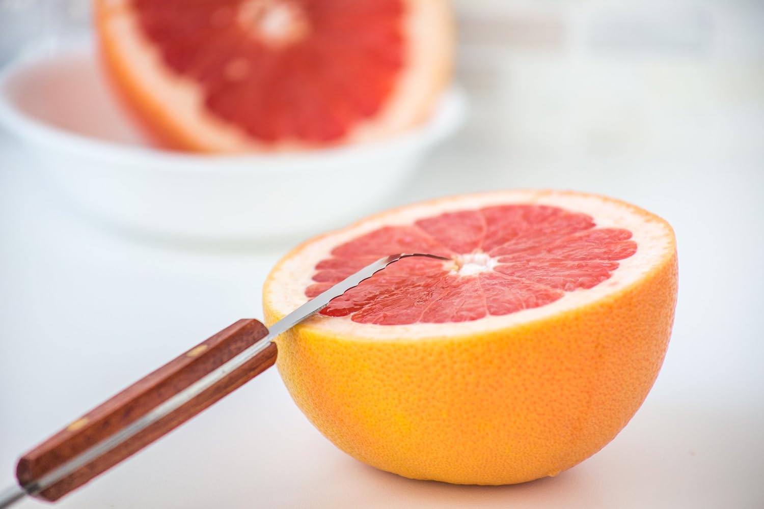 Fox Run Grapefruit Knife