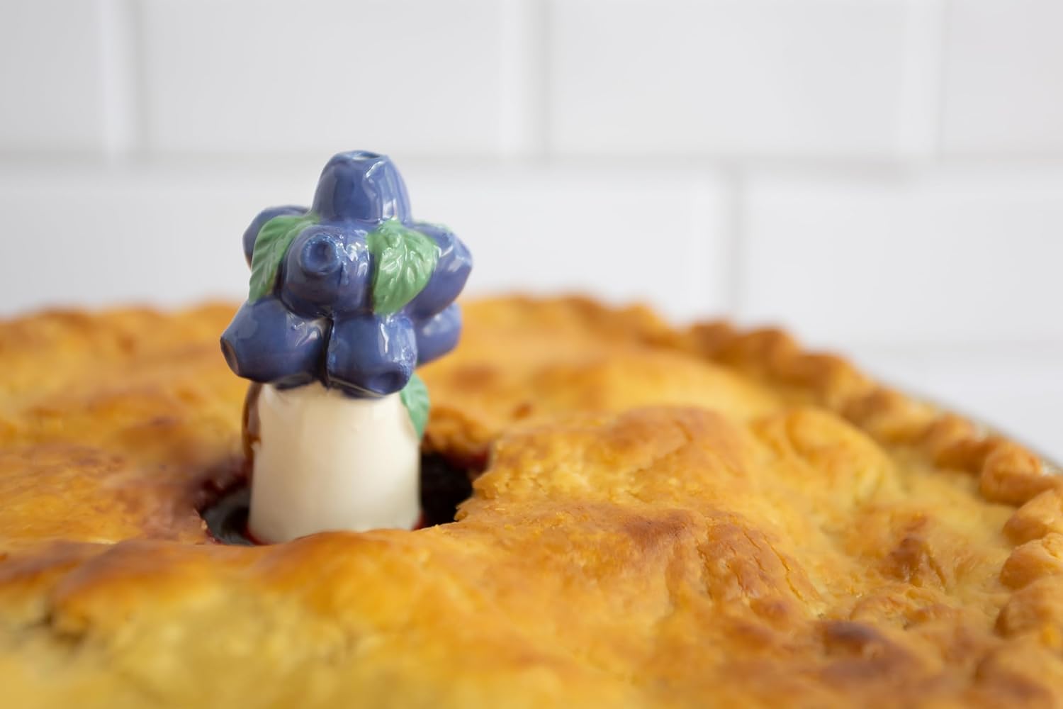 Fox Run Blueberry Pie Vent