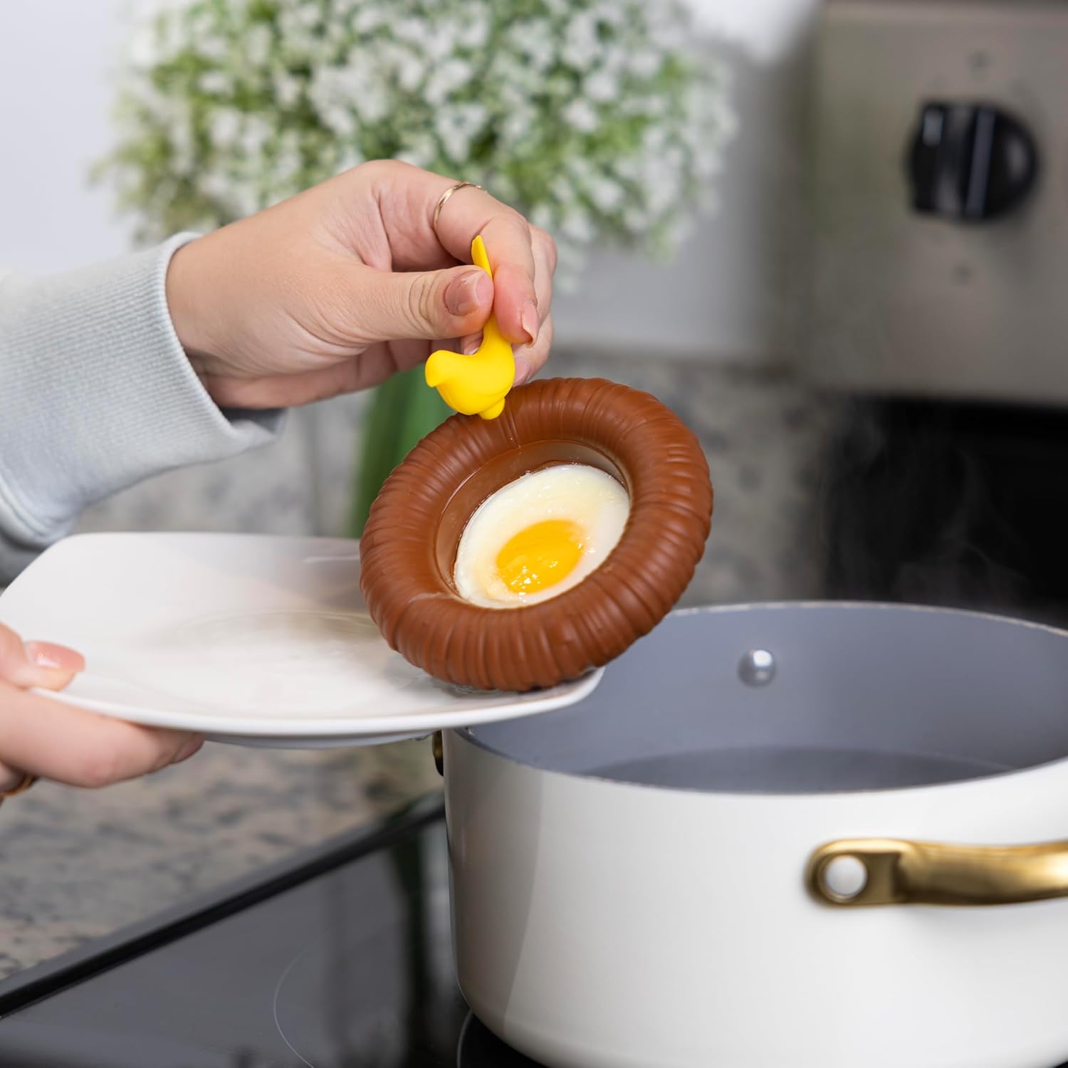 Pundit Perched Eggs Silicone Egg Poachers, Set of 2