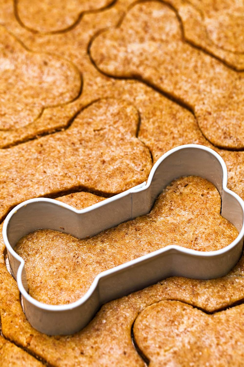 Fox Run Dog Bone Cookie Cutter Set