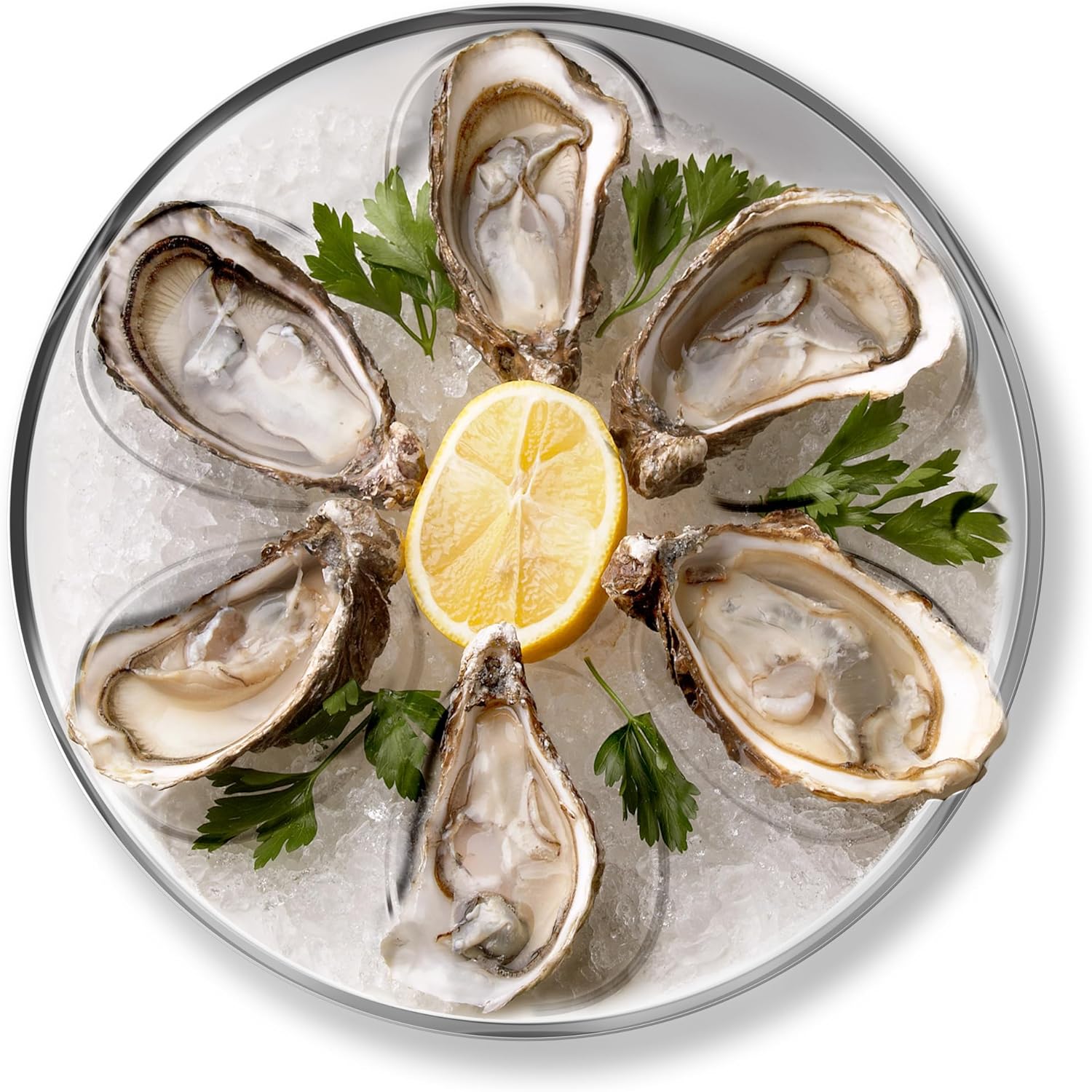Outset Stainless Steel Oyster Tray with Condiment Cup