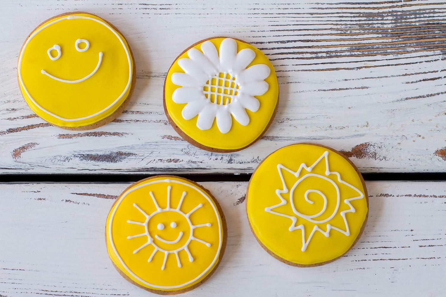 Fox Run Circle Cookie Cutter Set