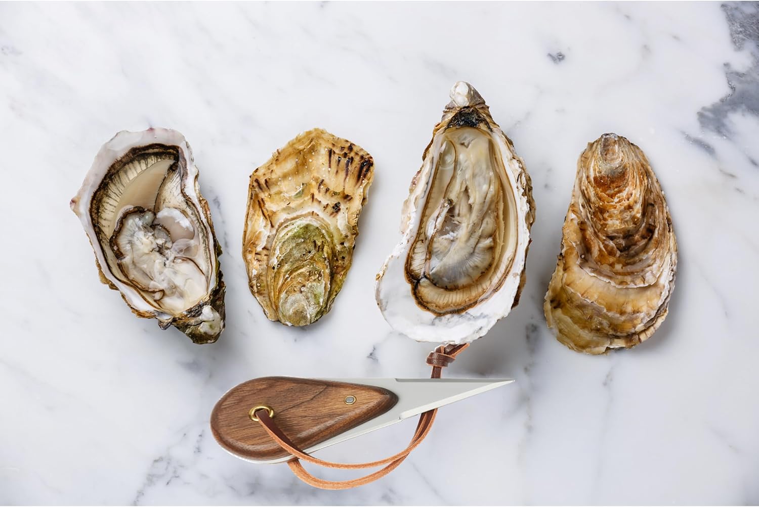 Outset Au Bord De La Mer Oyster Gift Set in Box