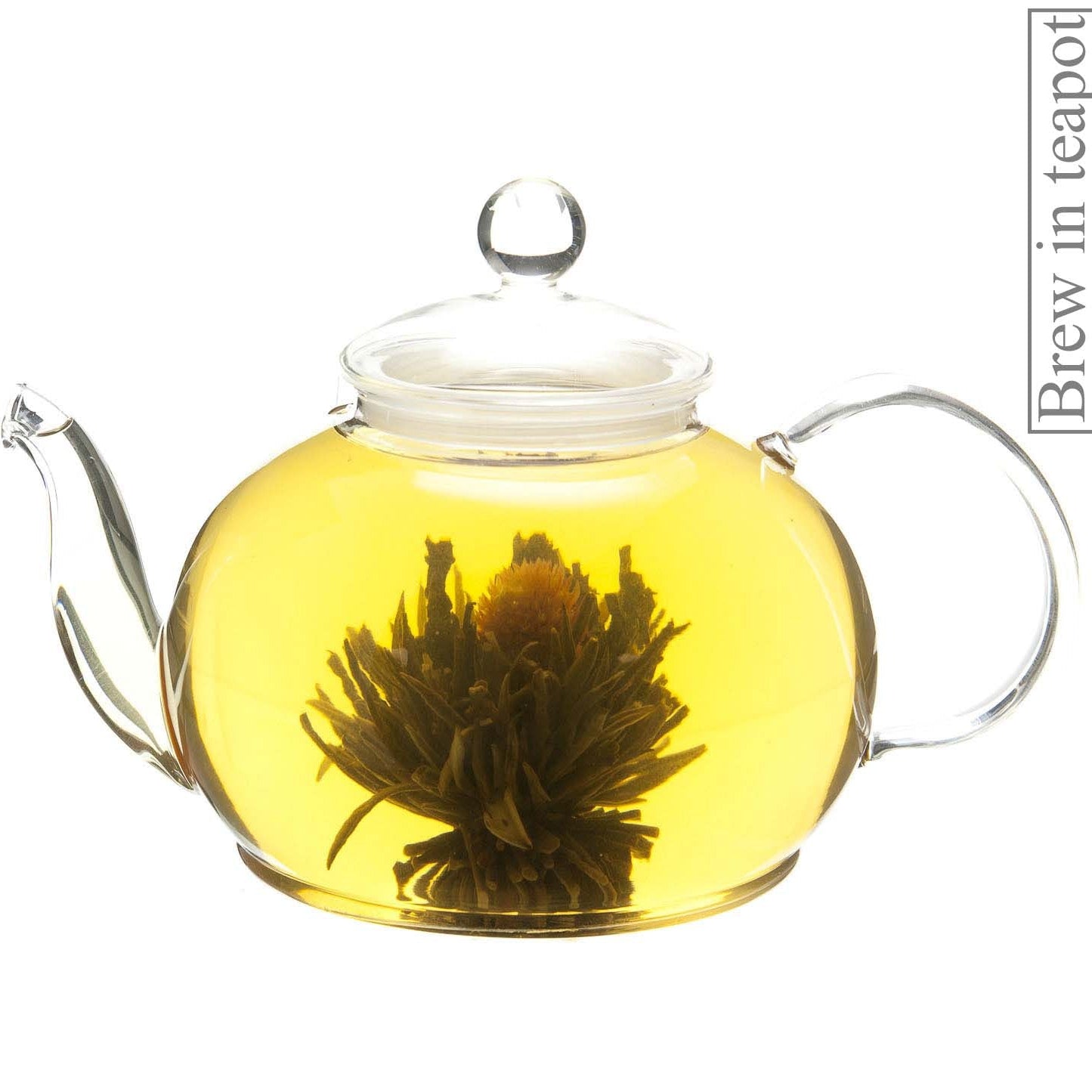 Metropolitan Tea Menthe Soleil Artisan Loose Leaf Tea 1.1 lbs