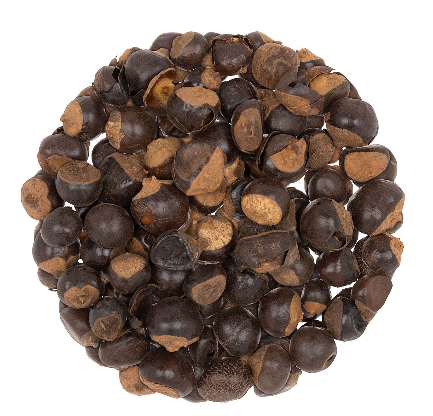 Metropolitan Tea Guarana (Whole) Loose Leaf Herbal Tea 1.1 lbs