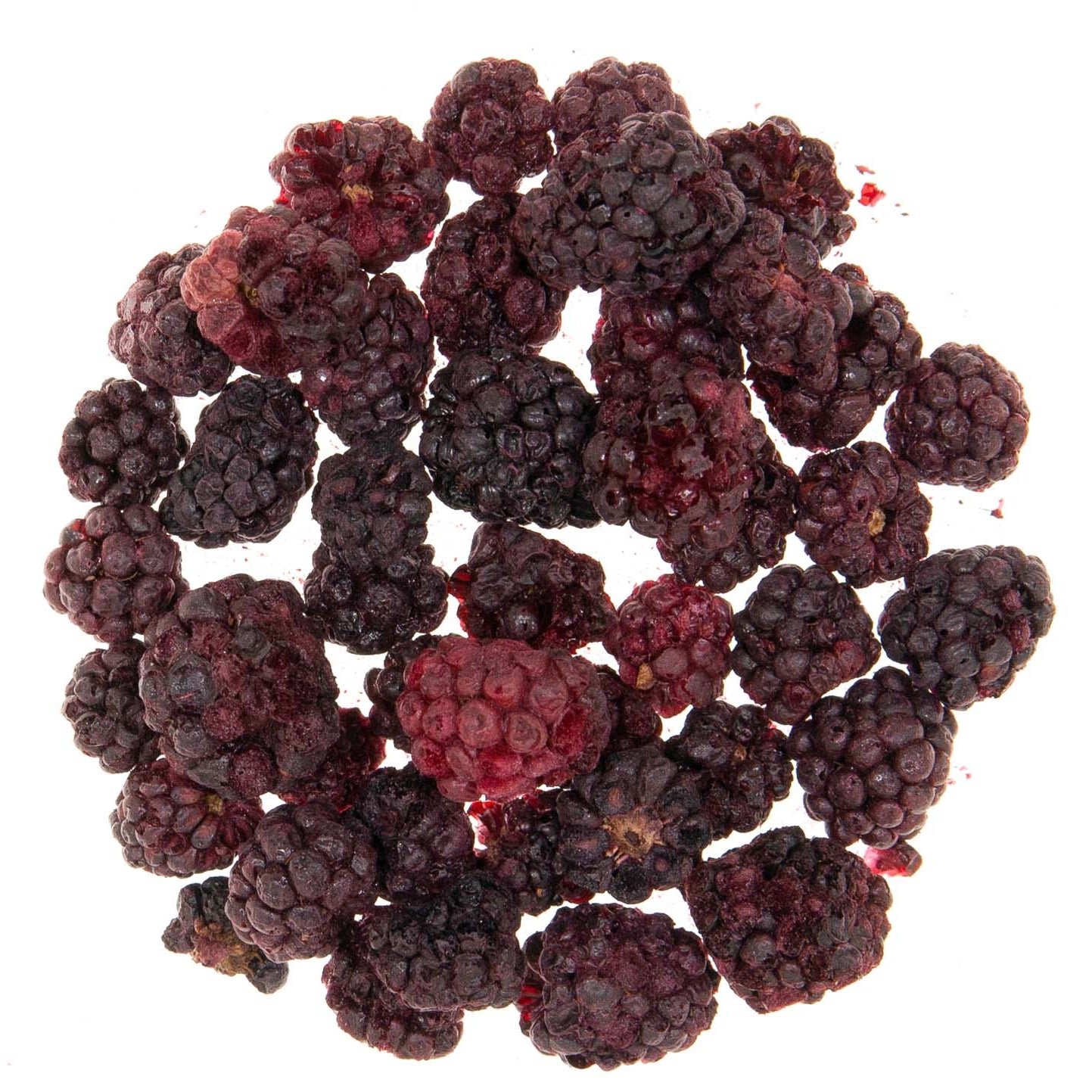 Metropolitan Tea Organic Freeze Dried Blackberry Loose Leaf Tea 0.27 lbs
