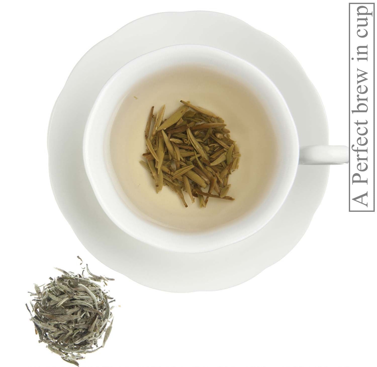 Metropolitan Tea Organic Silver Swallow White Loose Leaf Tea 1.1 lbs