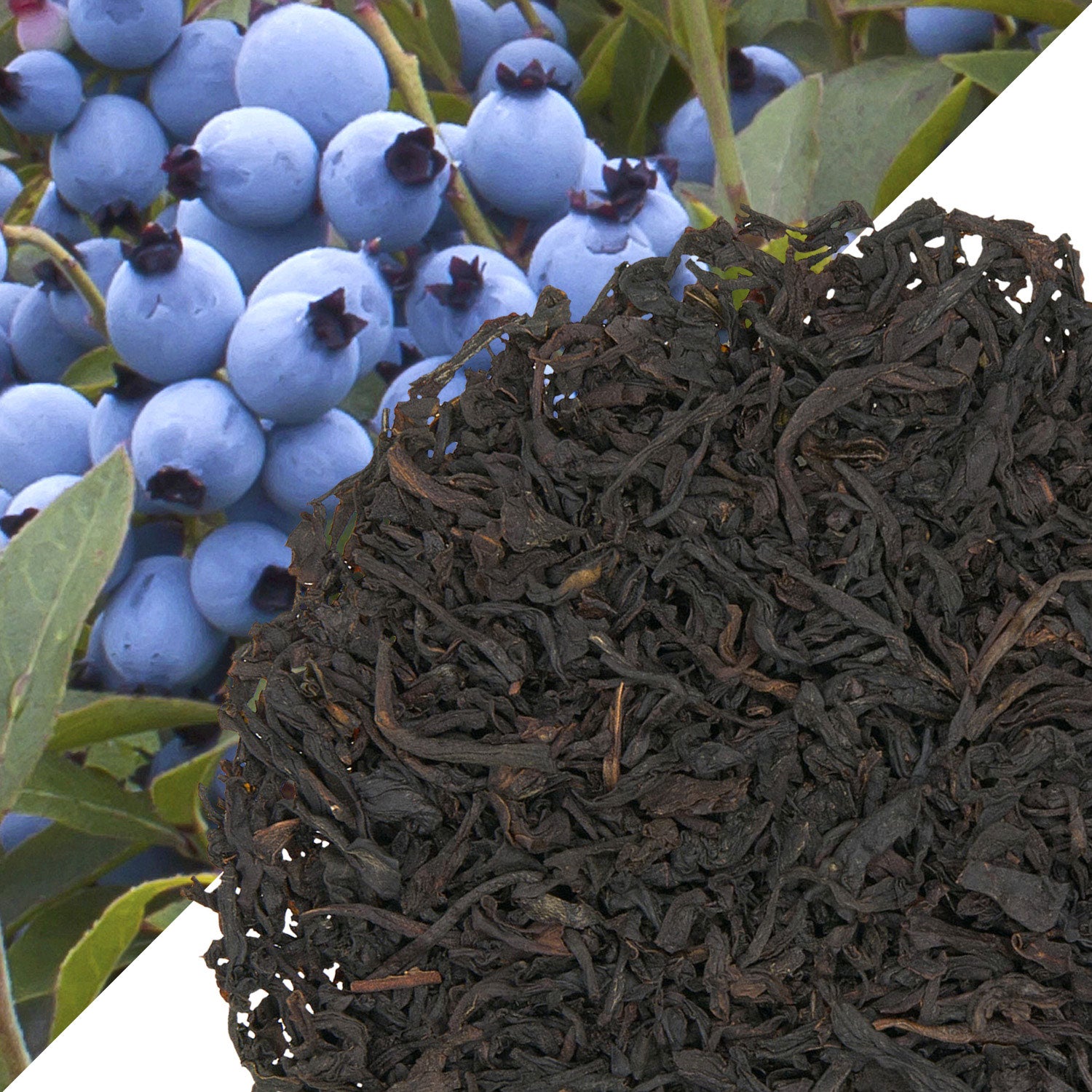 Metropolitan Tea Organic Wild Blueberry (StripTeas) Loose Leaf Tea 35.2 lbs