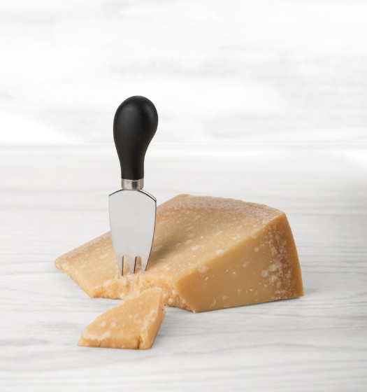 Trudeau Specialty Cheese Knives – Set of 4 Trudeau by Kitchen Niche