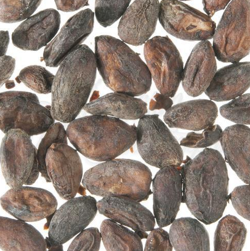 Metropolitan Tea Air Dried Cocoa Beans (Whole) Loose Leaf Herbal Tea 1.1 lbs