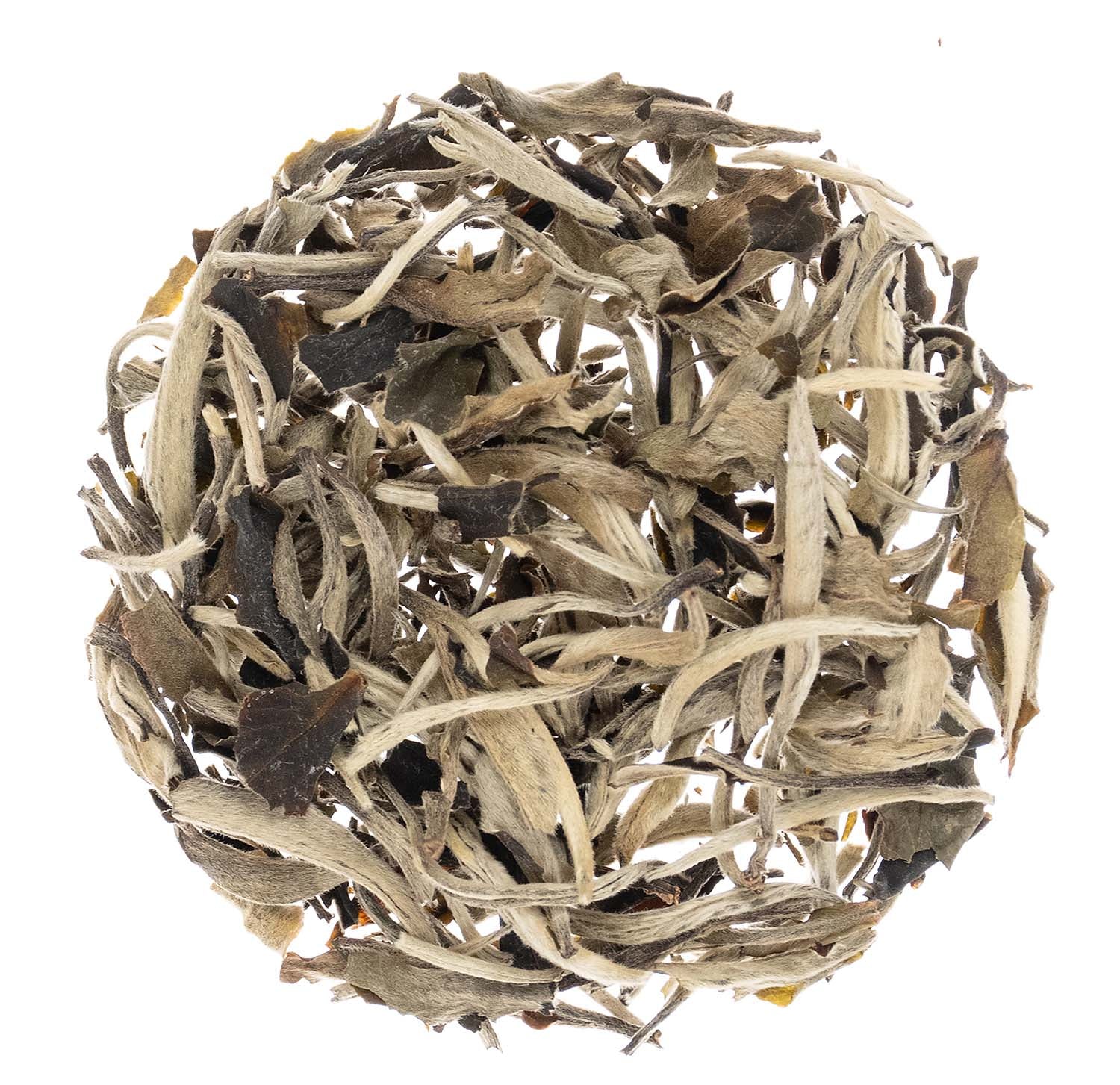 Metropolitan Tea Silver Moonlight Wild White Loose Leaf Tea 0.55 lbs