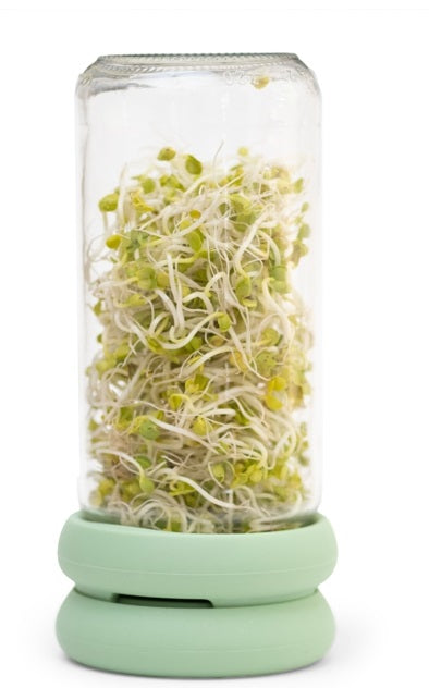 Food Huggers Silicone Sprout Huggers by Kitchen Niche