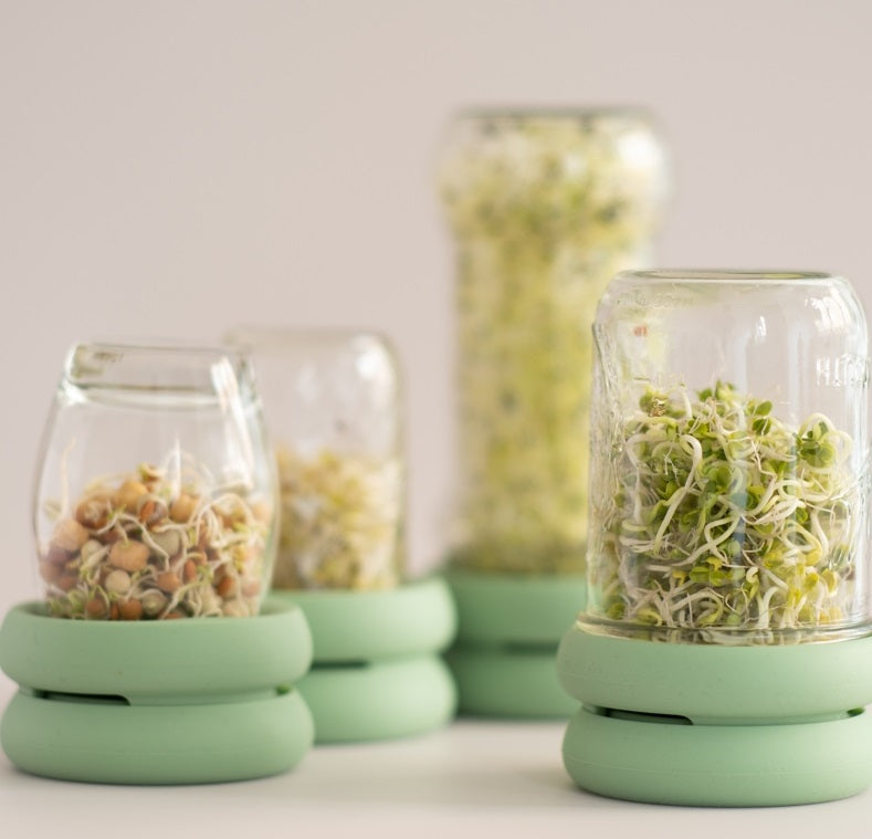 Food Huggers Silicone Sprout Huggers by Kitchen Niche