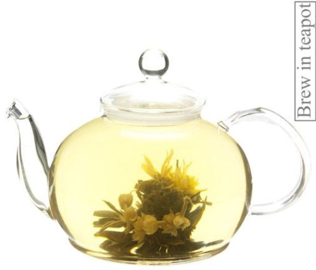 Metropolitan Tea Company Allegria Jasmine Burst Artisan Tea Metropolitan Tea Company by Kitchen Niche