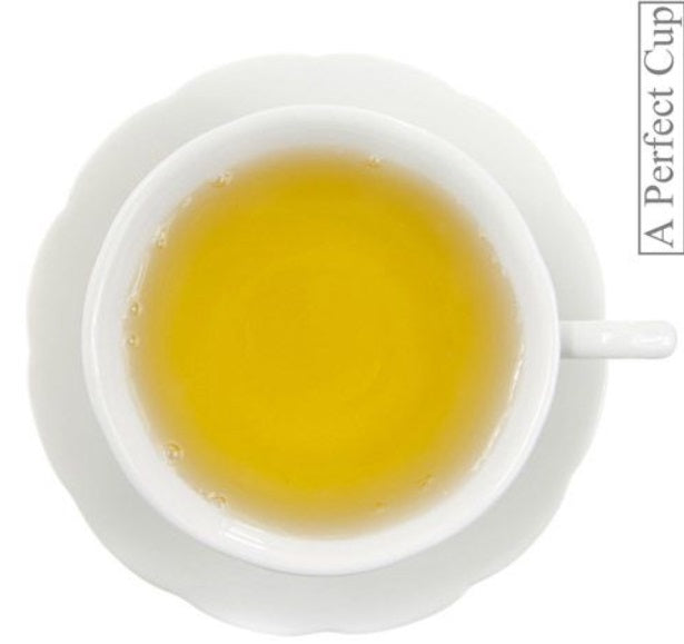 Metropolitan Tea Company Large Green Tea Brick 1.1kg / 2.45lbs by Kitchen Niche