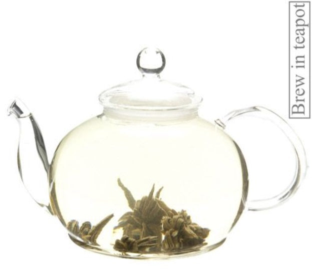 Metropolitan Tea Company Star of China Artisan Tea 1.1lbs Metropolitan Tea Company by Kitchen Niche