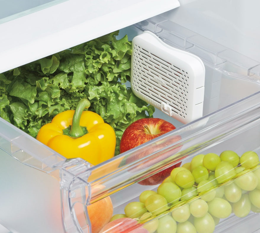 Oxo GreenSaver Crisper Insert by Kitchen Niche