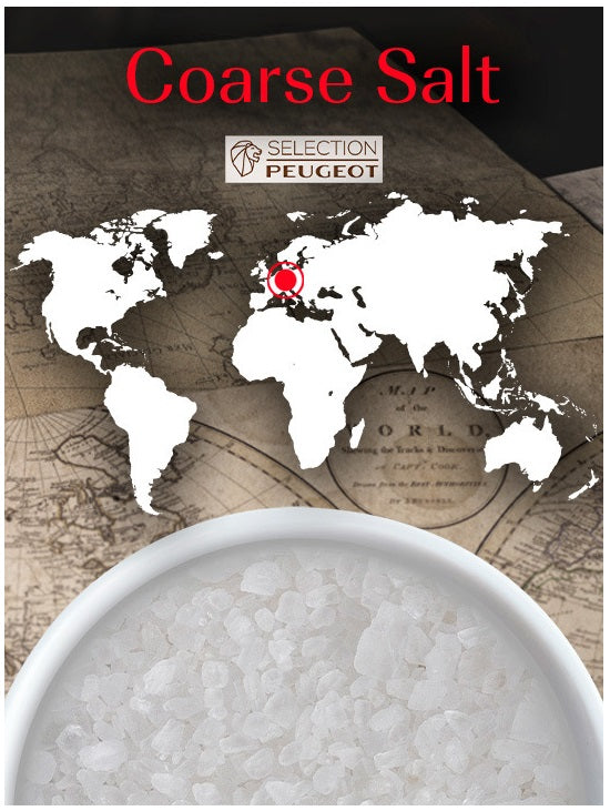 Peugeot Cristaux Germany Coarse White Salt 350g by Kitchen Niche