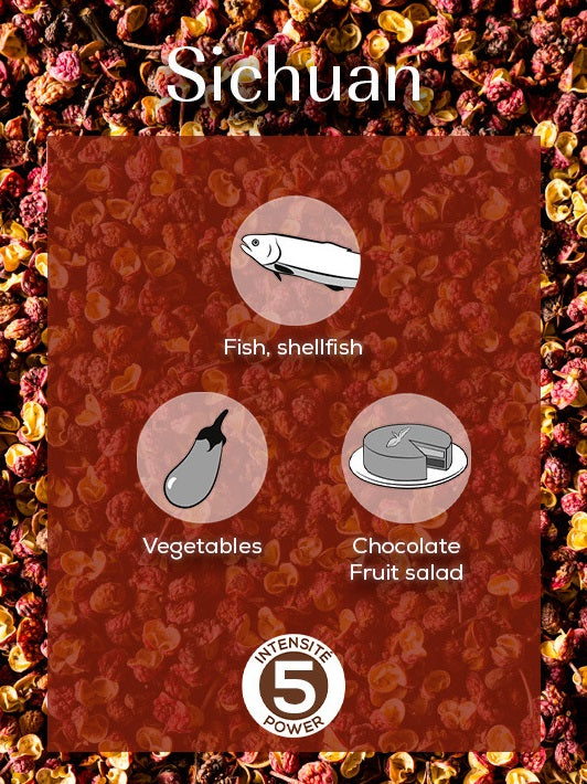 Peugeot Sichuan China Red Pepper 40g by Kitchen Niche