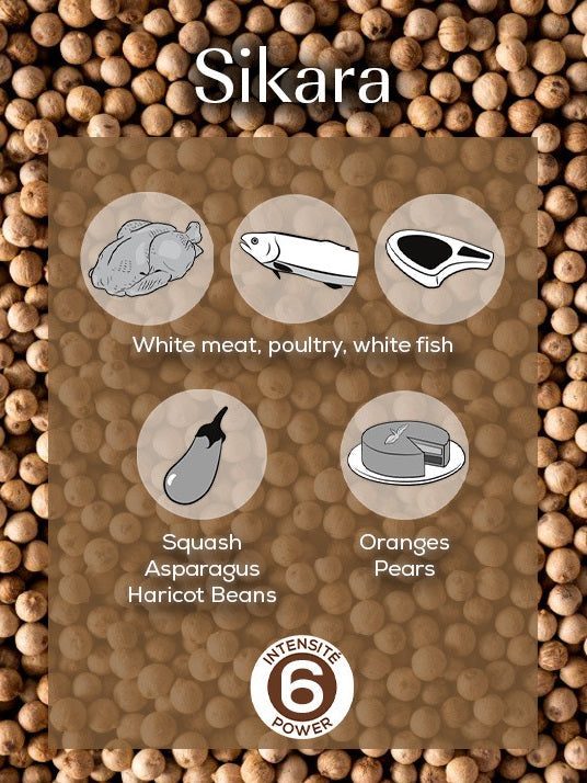 Peugeot Sikara Madagascar White Pepper 60g by Kitchen Niche