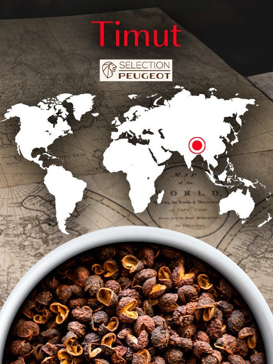 Peugeot Timut Nepal Wild Peppercorns 40g by Kitchen Niche
