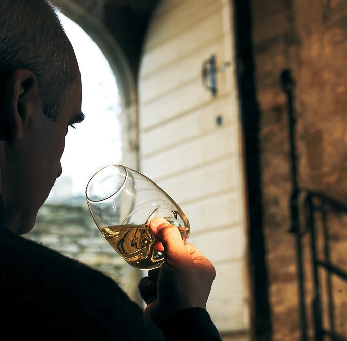 Peugeot Le Taster Universal Wine Tasting Glass by Kitchen Niche