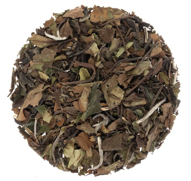 Metropolitan Tea Sowmee Loose Leaf White Tea 0.55 lbs by Kitchen Niche