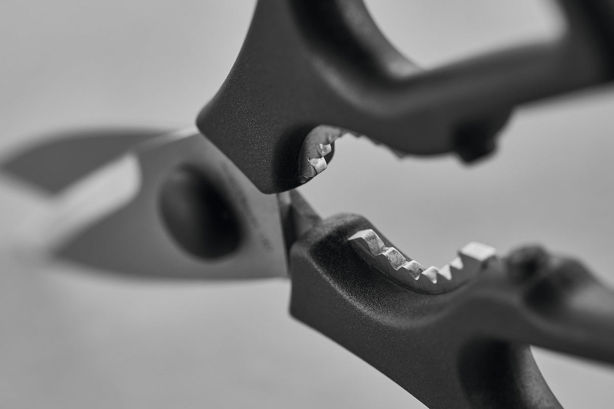 Wüsthof Kitchen Shears – Black, Take-Apart Wusthof by Kitchen Niche