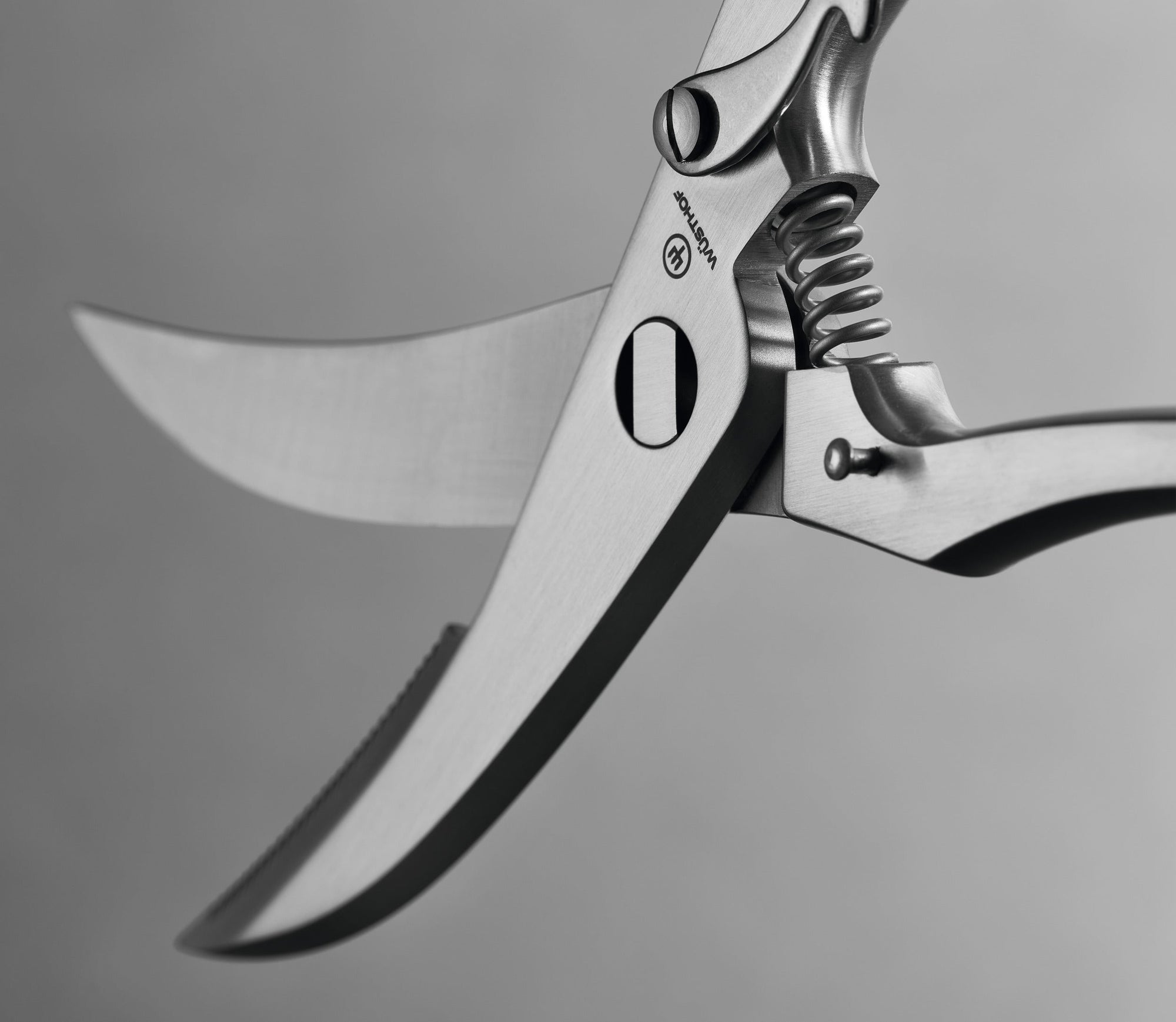 Wüsthof Poultry Shears – Take-Apart Stainless Wusthof by Kitchen Niche