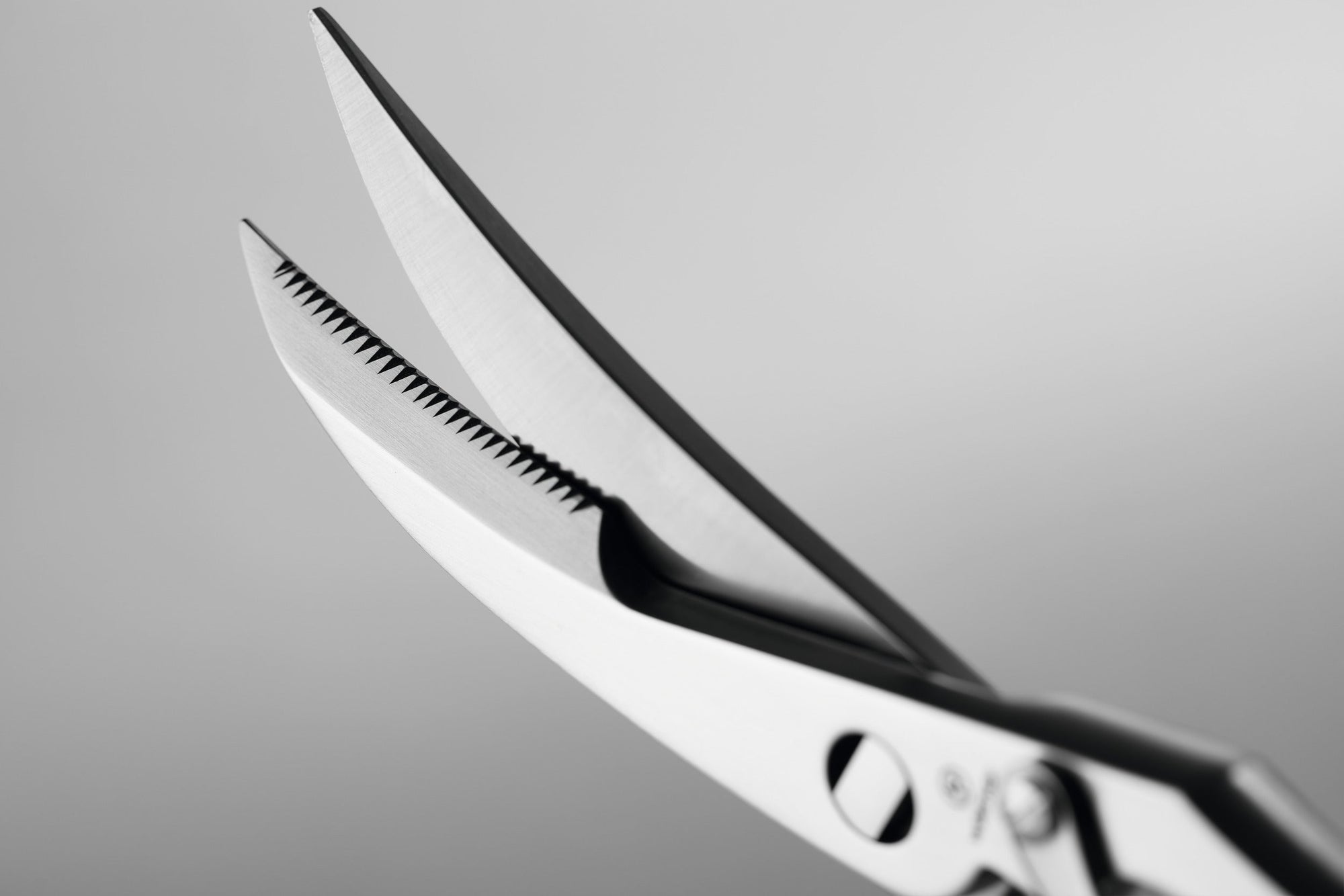 Wüsthof Poultry Shears – Take-Apart Stainless Wusthof by Kitchen Niche