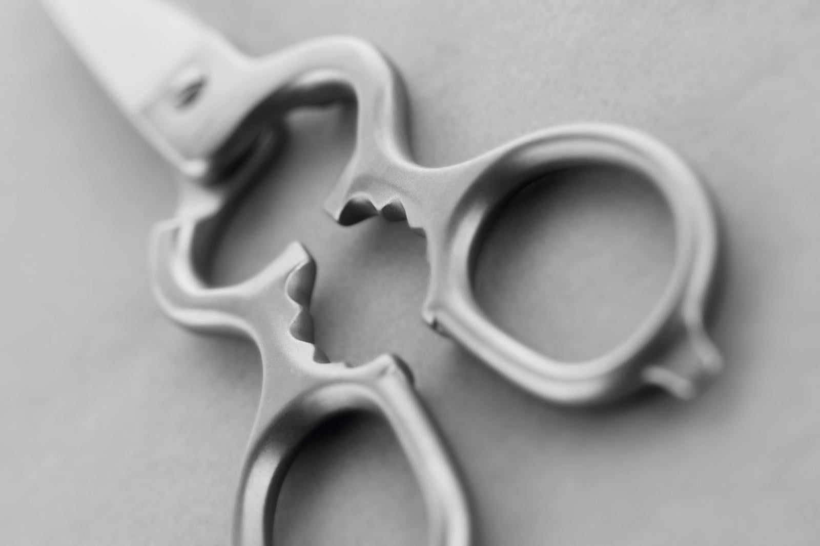 Wüsthof Kitchen Shears – Stainless Wusthof by Kitchen Niche