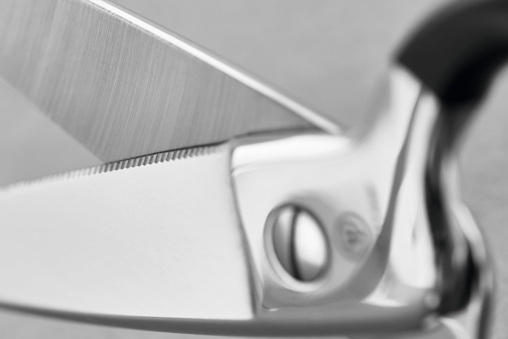 Wüsthof Kitchen Shears – Black Stainless Wusthof by Kitchen Niche