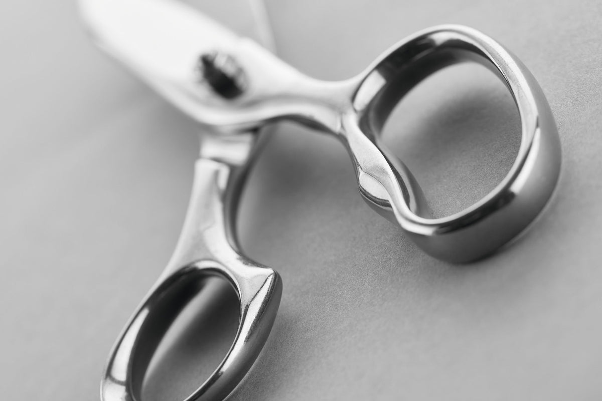 Wüsthof Kitchen / Fish Shears – Stainless Wusthof by Kitchen Niche