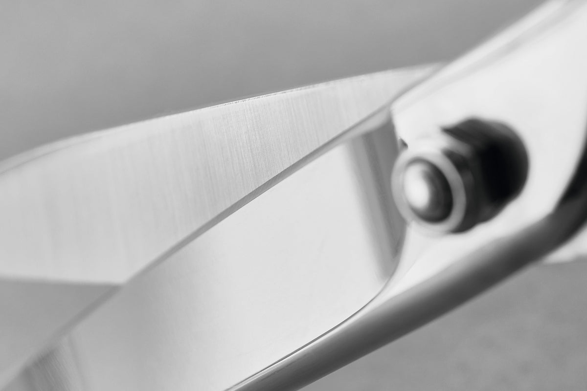 Wüsthof Kitchen / Fish Shears – Stainless Wusthof by Kitchen Niche