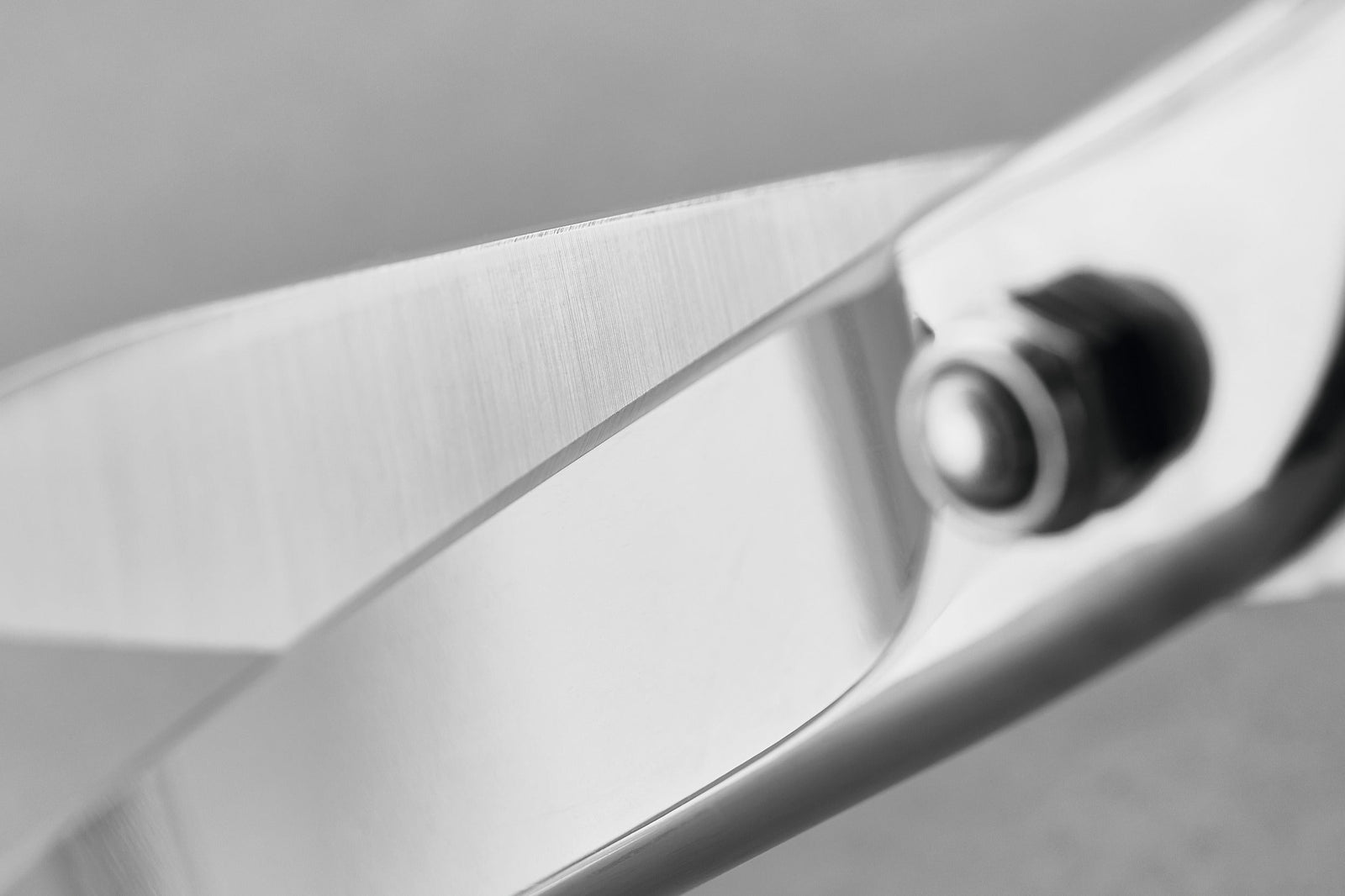 Wüsthof Kitchen / Fish Shears – Stainless Wusthof by Kitchen Niche