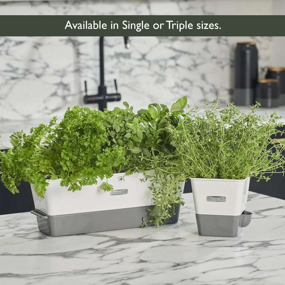 Cole & Mason Burwell Self-Watering Potted Herb Keeper – Triple