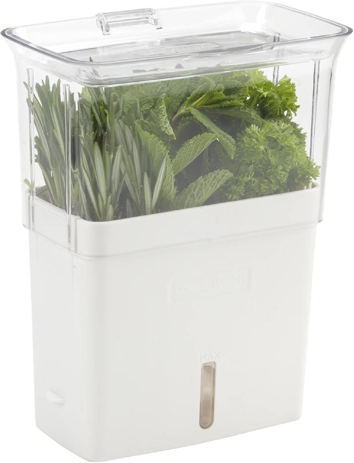 Cole & Mason Tealby Cut Fresh Herb Keeper
